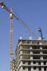 Monolithic house and crane