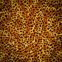 tiger fur texture