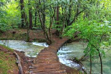 Plivitcka Lakes National Park. Croatia