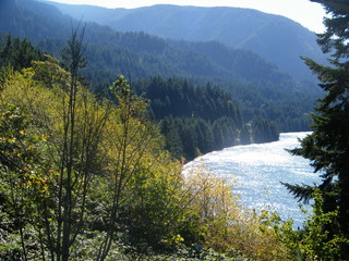 Columbia River View