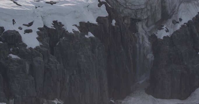 Arctic Bird Cliff - Birds flying near nests Wide Shot