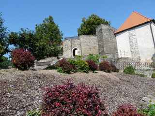 Naklejka premium Castle Svojanov