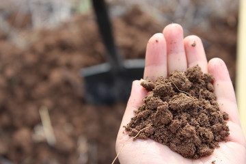 a hand holding soil with soil background