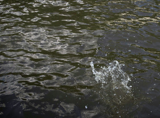 Water Splashing Background