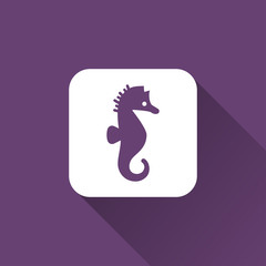seahorse icon design
