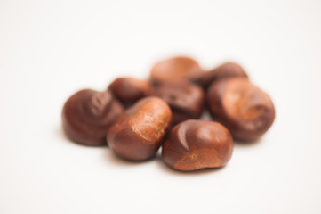 chestnut and oak acorns
