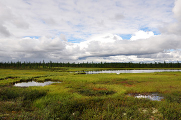 Naklejka premium There is lake in the green meadow. There are many white clouds in the dark blue sky