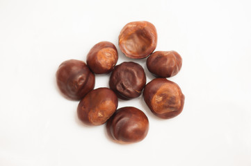 chestnut and oak acorns