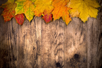 Naklejka na ściany i meble Autumn leaves atmosphere.