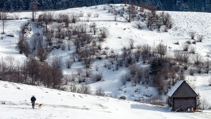 A hunter with a dog and a gun goes in the snow near the wooden hut in the forest. Winter hunt.