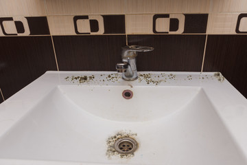black mold damage to bathroom