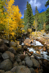 Fall Color Along Guanella Pass 2