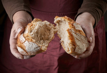 freshly baked bread