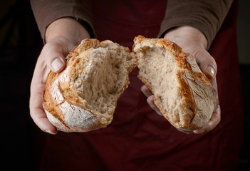 freshly baked bread