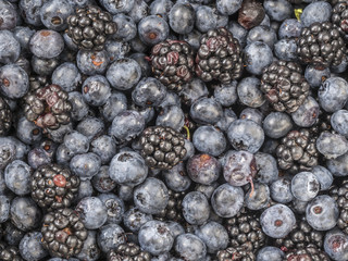 Blueberry and blackberry fresh