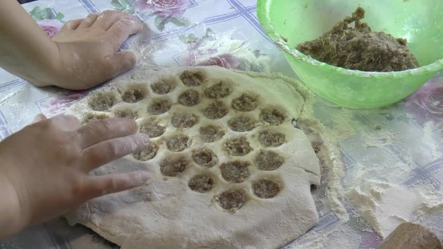 Making dumplings at home / Making dumplings at home using a special form for raviol