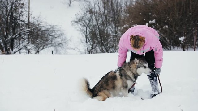 Winter playing with pet. Winter day, a girl playing in the snow with her dog