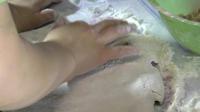 Making dumplings at home / Making dumplings at home using a special form for raviol