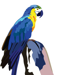 Colorful parrot on a branch Vector illustration