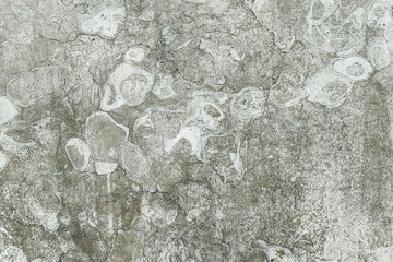 Grey granite wall background texture