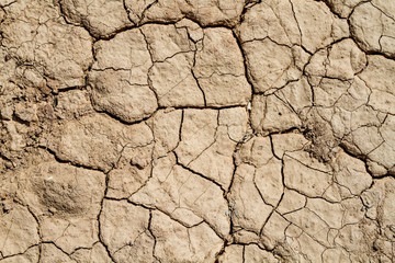 Soil background, dry chapped earth