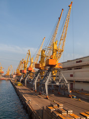 Fototapeta na wymiar Bright yellow and orange cranes stand in the dock at the port ha