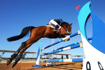 Fototapete Reiten Rider on horse jumping over a hurdle during the equestrian event