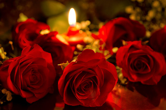 Red roses with a candle