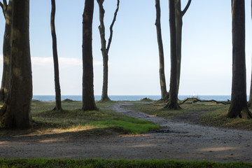 Natur Landschaft Küste 