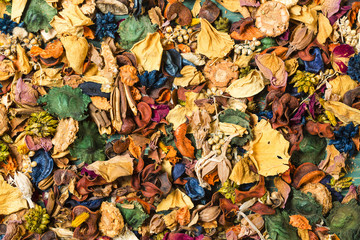 autumn leaves colorful background texture