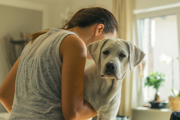 Junger Labrador Retriever  Hund Welpe wird von junger Frau liebevoll in den Armen getragen - obrazy, fototapety, plakaty