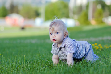 Small child with surprise creeps on green grass  