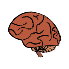 human brain idea creativity sketch vector illustration eps 10