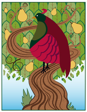 Partridge / A partridge in a pear tree