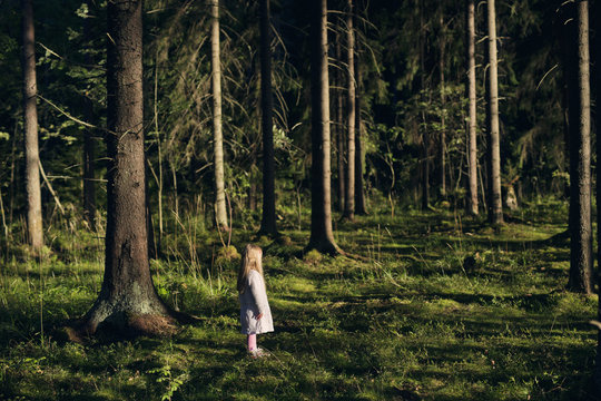 Finland, Paijat-Hame, Heinola, Girl (4-5) standing in spruce forest