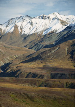 Tundra landscape with snowline in the background on the Alaska Range of mountains, in the Denali National Park, Alaska