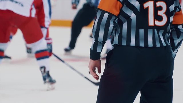 Hockey referee looks on players