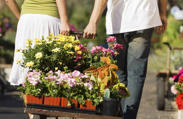 Rear view of young couple pulling cart full of various flowers
