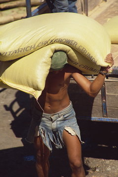 Stevedore carrying sacks at the docks in Iloilo City, Panay, Visayan Islands, Philippines