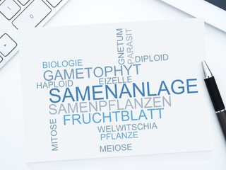 Samenanlage