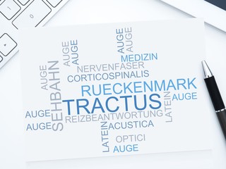 Tractus 