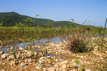 Reserved water at Hui Lan irrigation dam