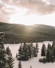 sun through the snow