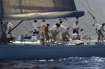 Stoff pro Meter Side view of crew members working on sailboat © moodboard