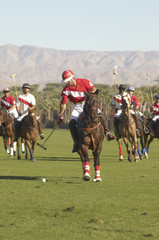 Players playing match on polo field