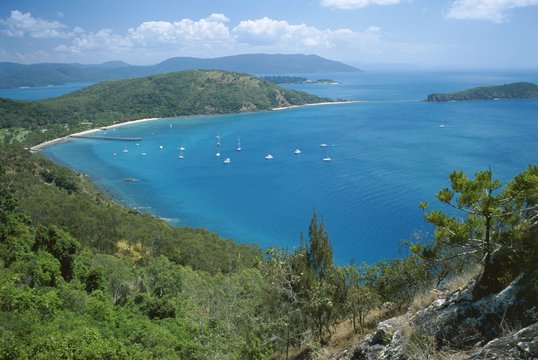 View over Bauer Bay, South Molle Island, Whitsundays, Queensland