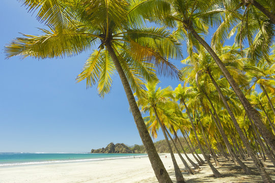 Beautiful palm fringed white sand Playa Carrillo, Carrillo, near Samara, Guanacaste Province, Nicoya Peninsula