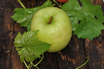 Ripe Apple green