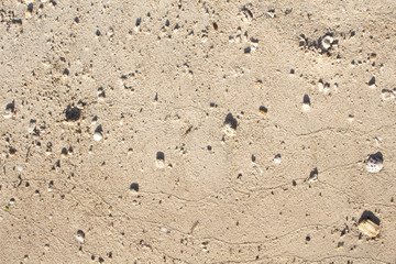 Sand texture closeup photo. Smooth beach sand background for travel banner template.