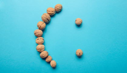 Walnuts, walnuts close-up, walnuts on blue background,